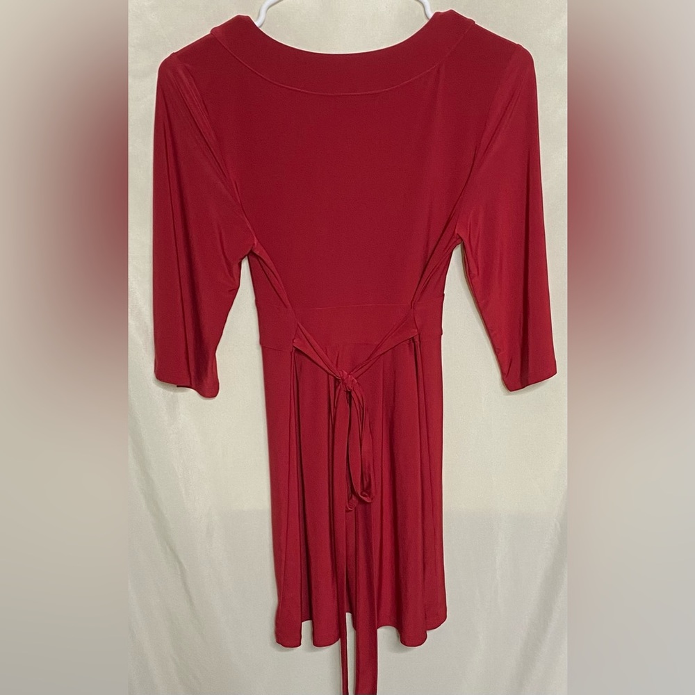 Express Dress - Picture 4 of 4